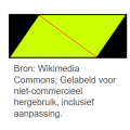 Oppervlakte parallellogram berekenen- digitale les in Wikiwijs